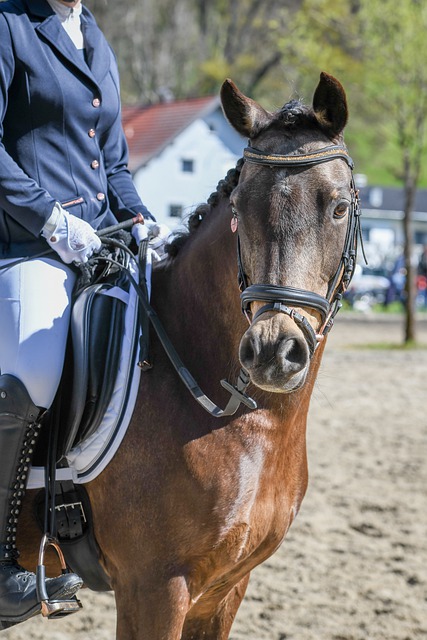 雷霆狂胜独行侠豪取14连胜！SGA三节打卡33分，浓眉9中1仅得2分
