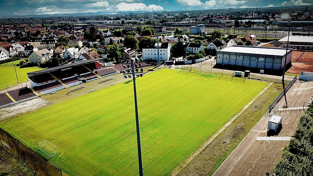 佩林：当图多尔被解雇时，我们球员觉得自己是首要责任人